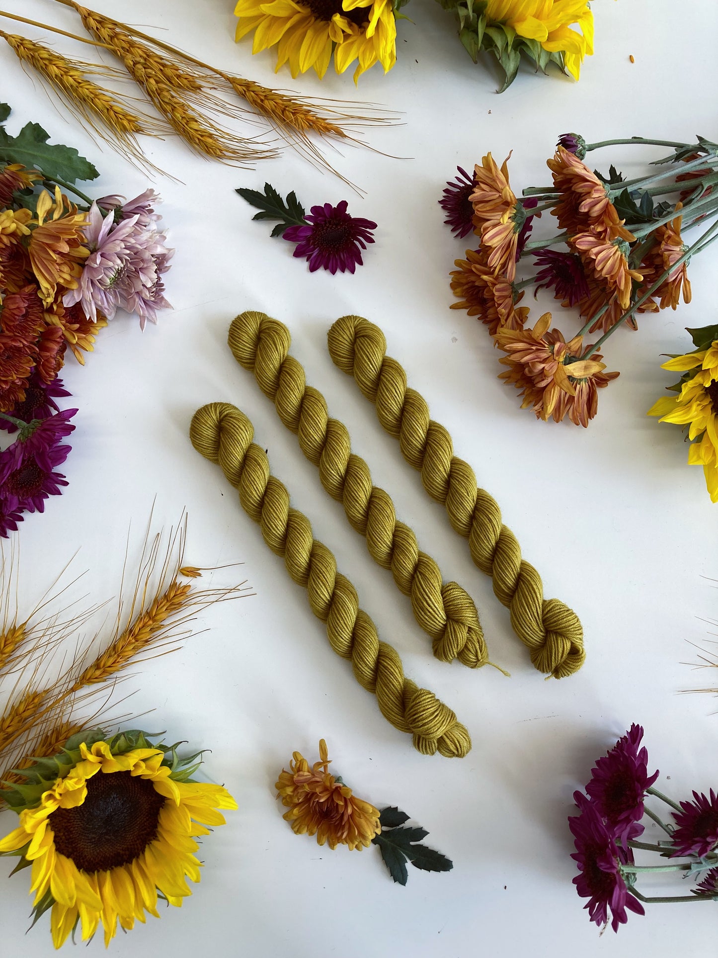 Studio DK Skeins • Creature Comforts Collection