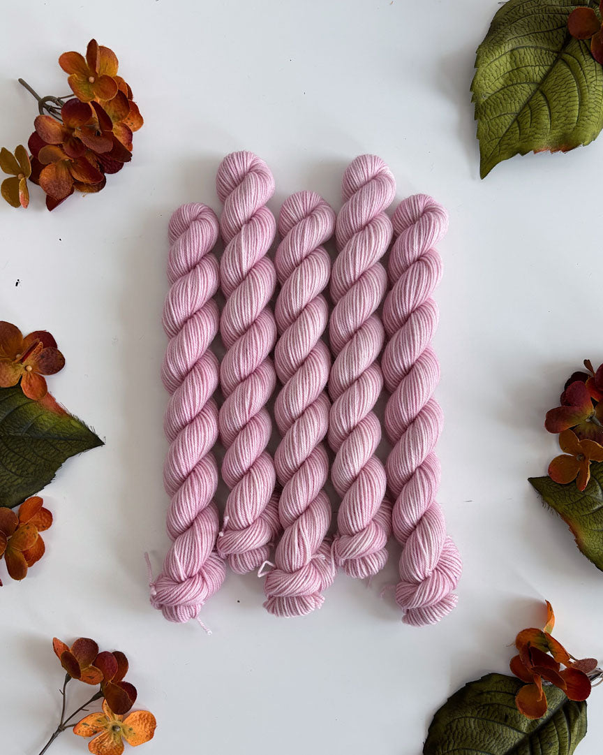 PRAIRIE SOCK YARN • 20g Mini Skein
