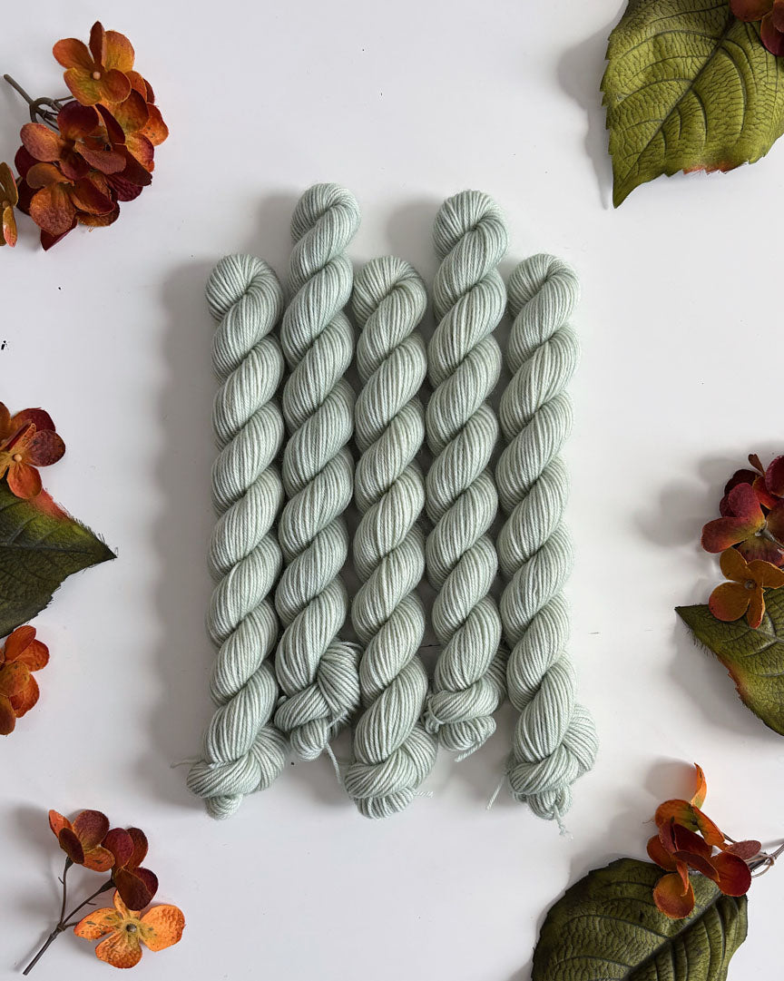 PRAIRIE SOCK YARN • 20g Mini Skein