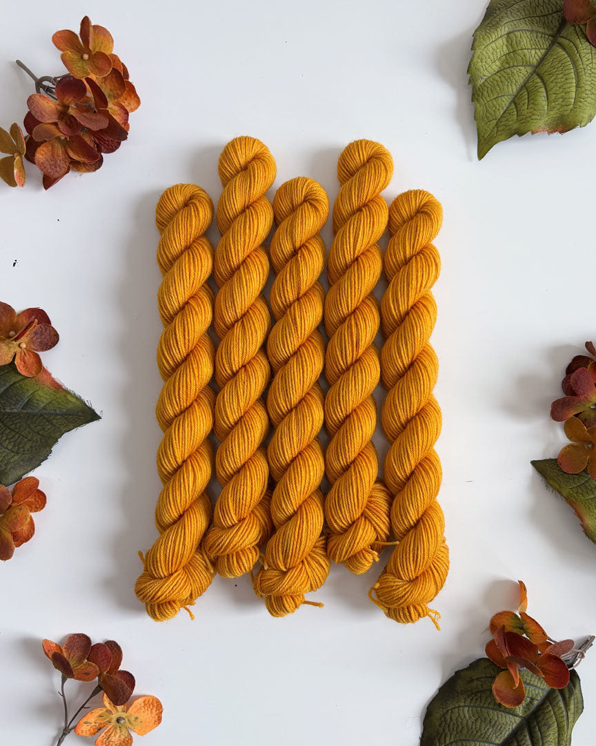 PRAIRIE SOCK YARN • 20g Mini Skein