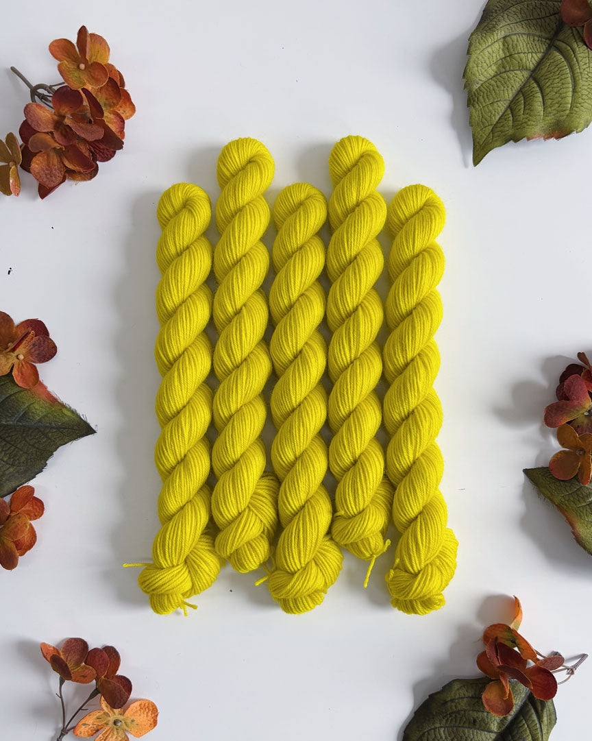 PRAIRIE SOCK YARN • 20g Mini Skein