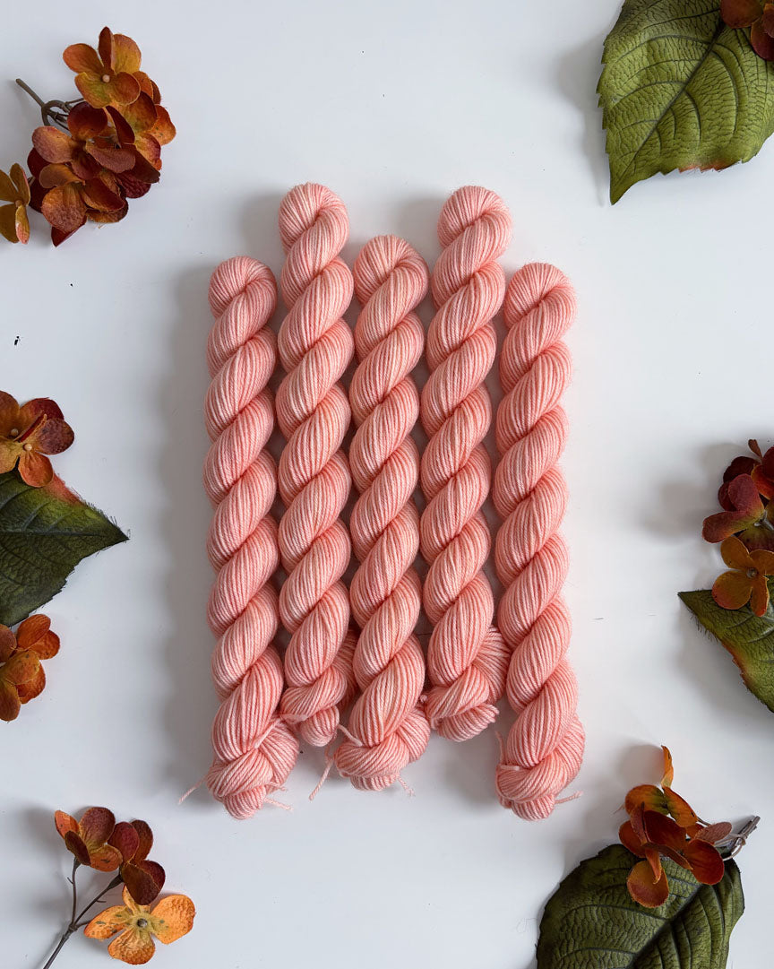 PRAIRIE SOCK YARN • 20g Mini Skein