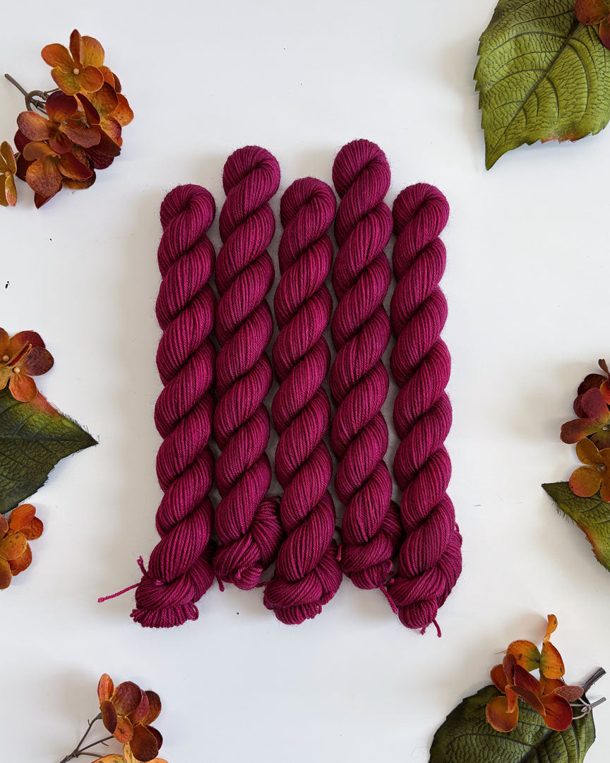 PRAIRIE SOCK YARN • 20g Mini Skein