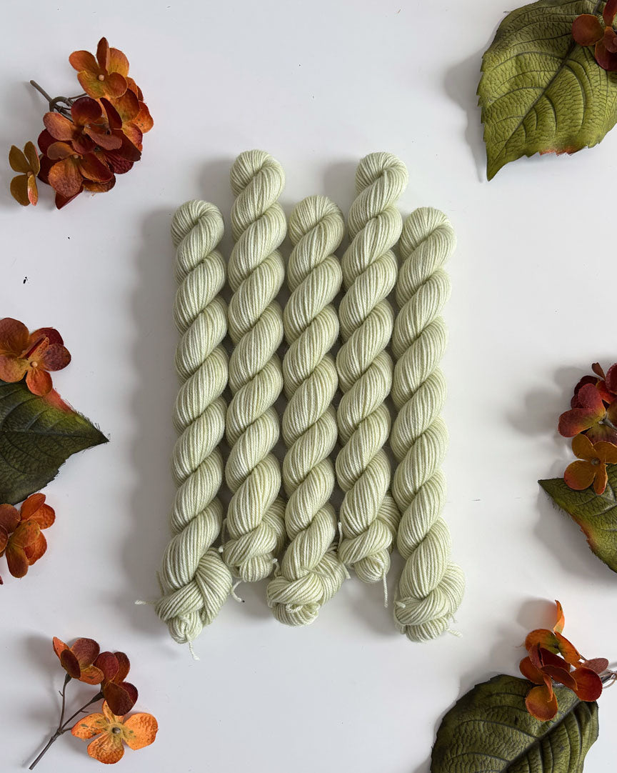 PRAIRIE SOCK YARN • 20g Mini Skein
