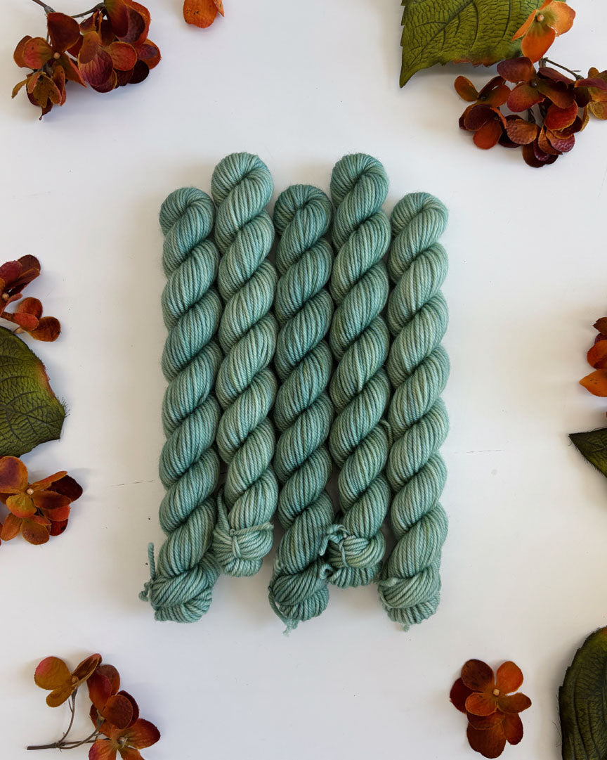 PRAIRIE SOCK YARN • 20g Mini Skein