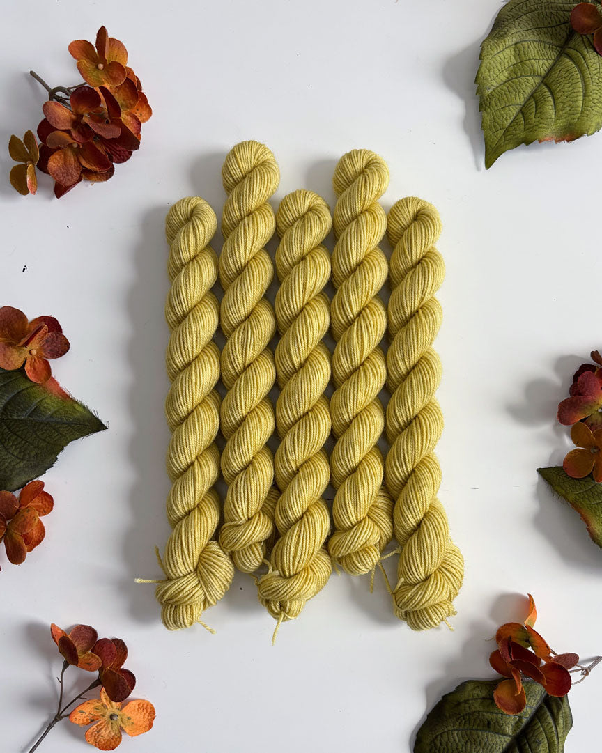 PRAIRIE SOCK YARN • 20g Mini Skein