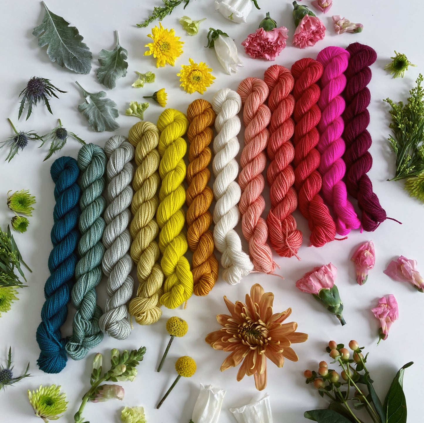 PRAIRIE SOCK YARN • 20g Mini Skein