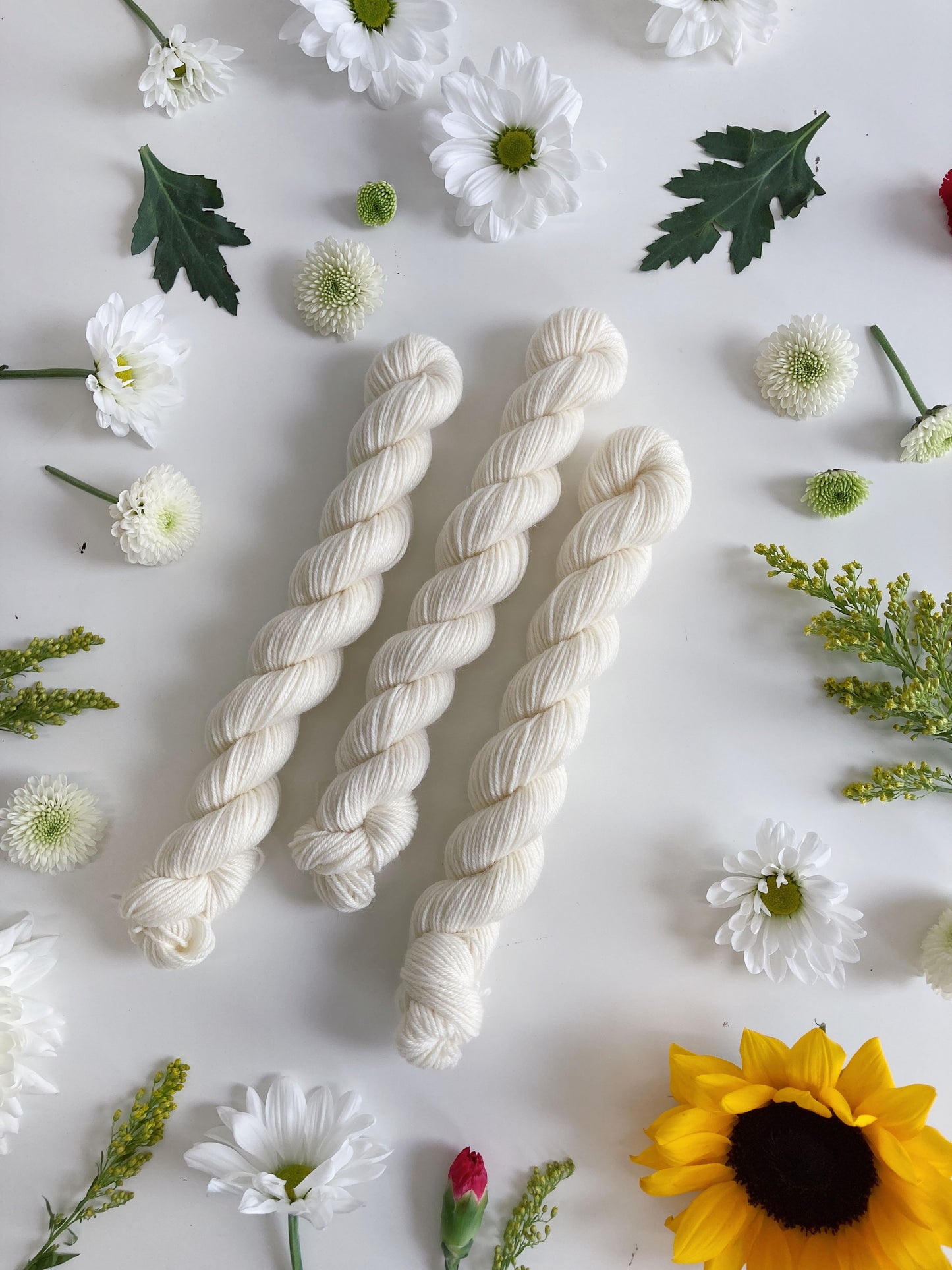 PRAIRIE SOCK YARN • 20g Mini Skein