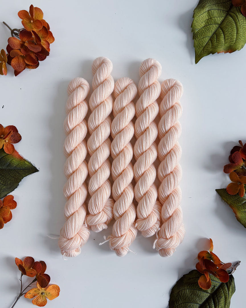 PRAIRIE SOCK YARN • 20g Mini Skein