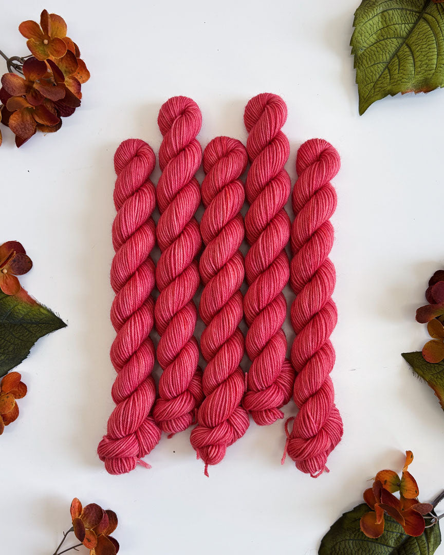 PRAIRIE SOCK YARN • 20g Mini Skein