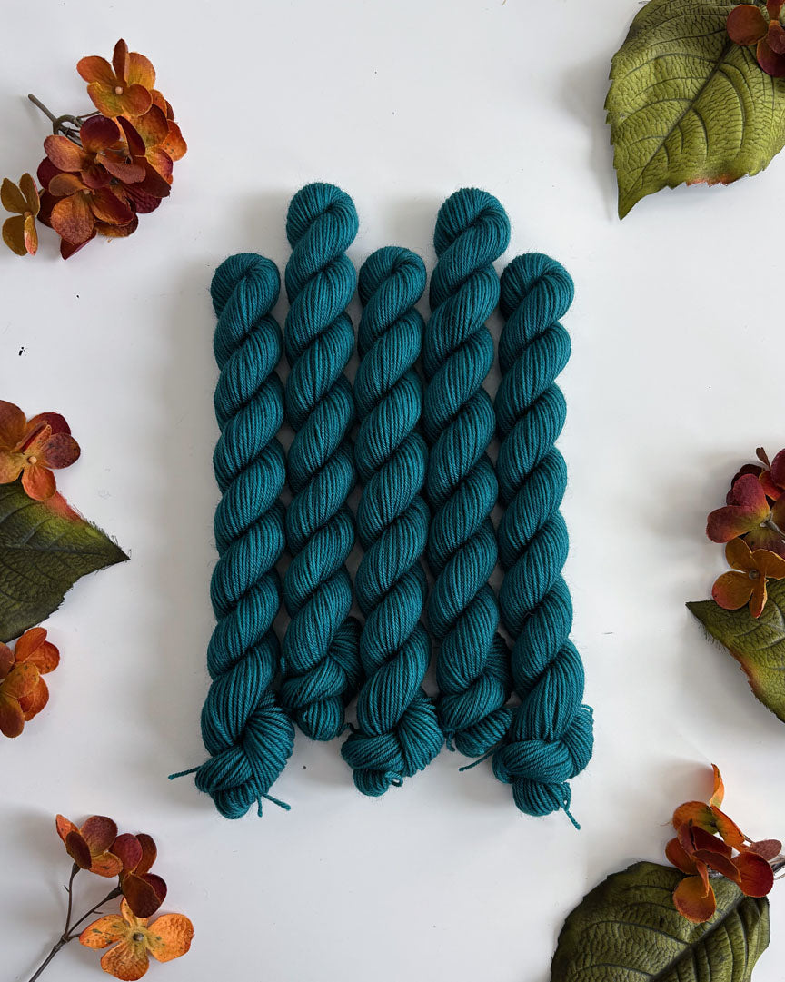 PRAIRIE SOCK YARN • 20g Mini Skein
