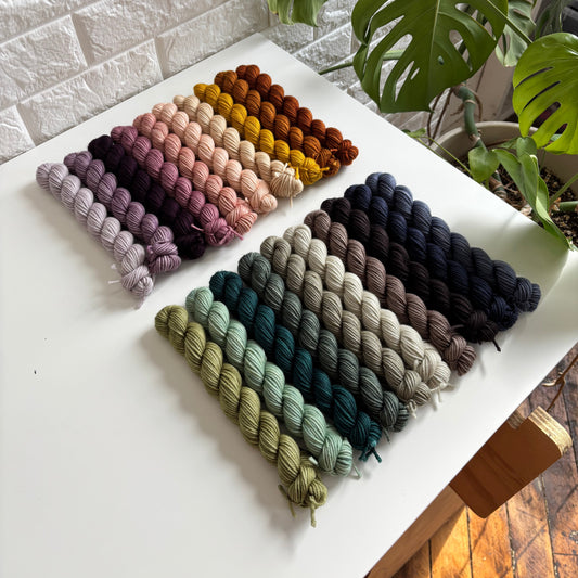 Set of yarn samples in various colors on a white surface with a plant in the background.